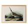 Poster about the Eurasian Curlew, based on an old engraving from 1827.