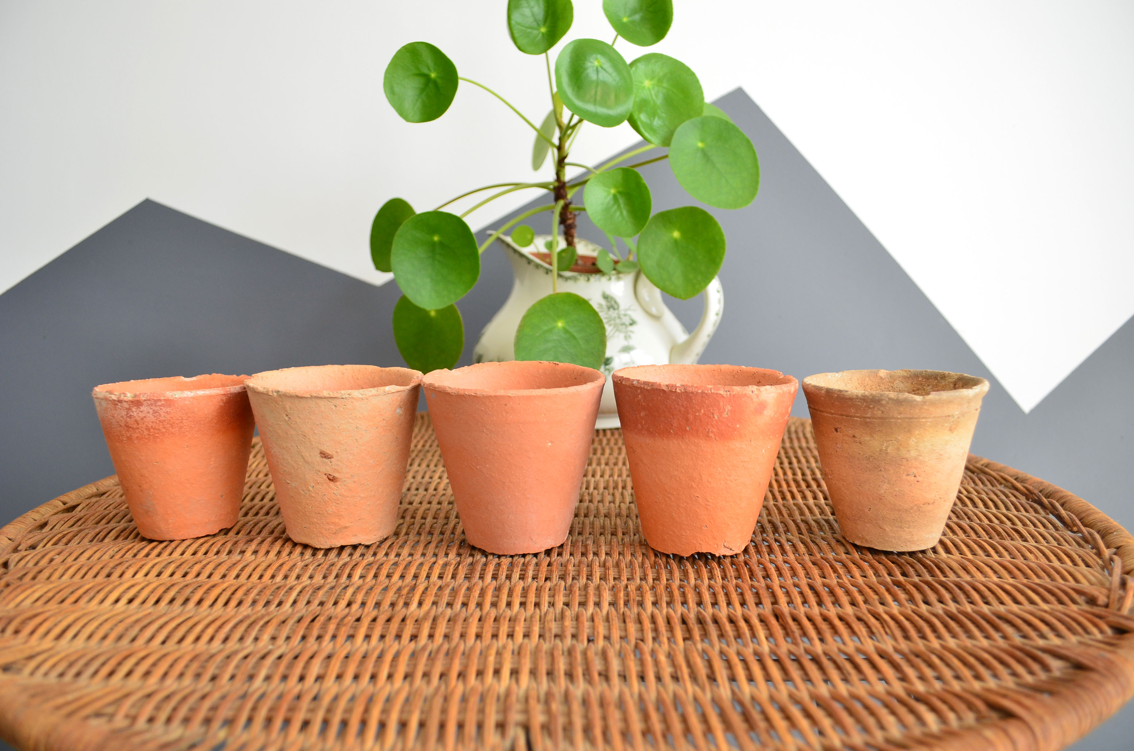 10 old terracotta seedling pots