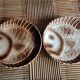 Fish dishes duo