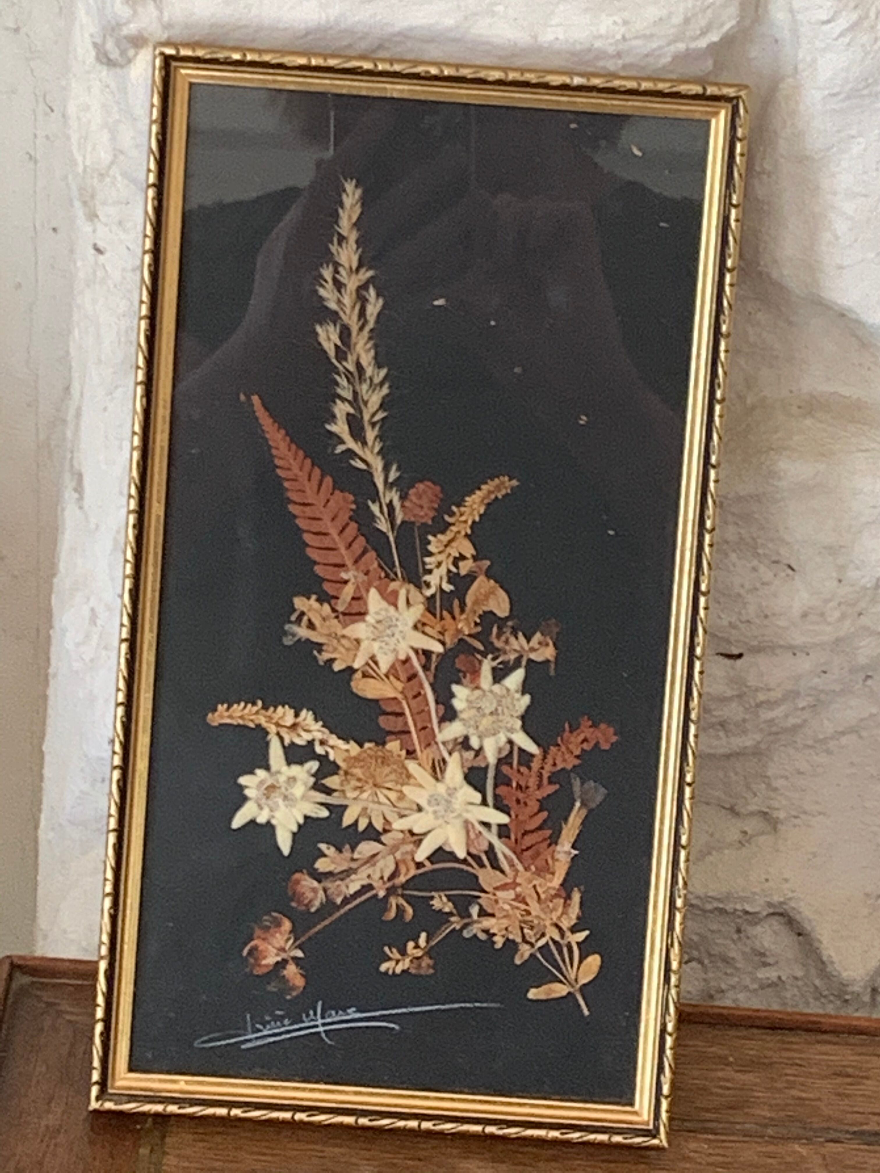 Cadre herbier fleurs séchées et edelweiss vintage