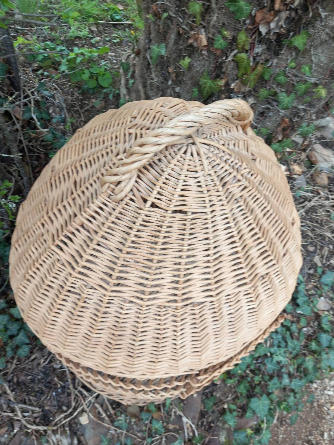 Antique rattan parrot cage 85 cm high