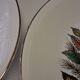 Set of 6 flat plates from Digoin Sarreguemines in good condition.