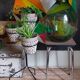 Dame-Jeanne oval canister with wide vintage collar