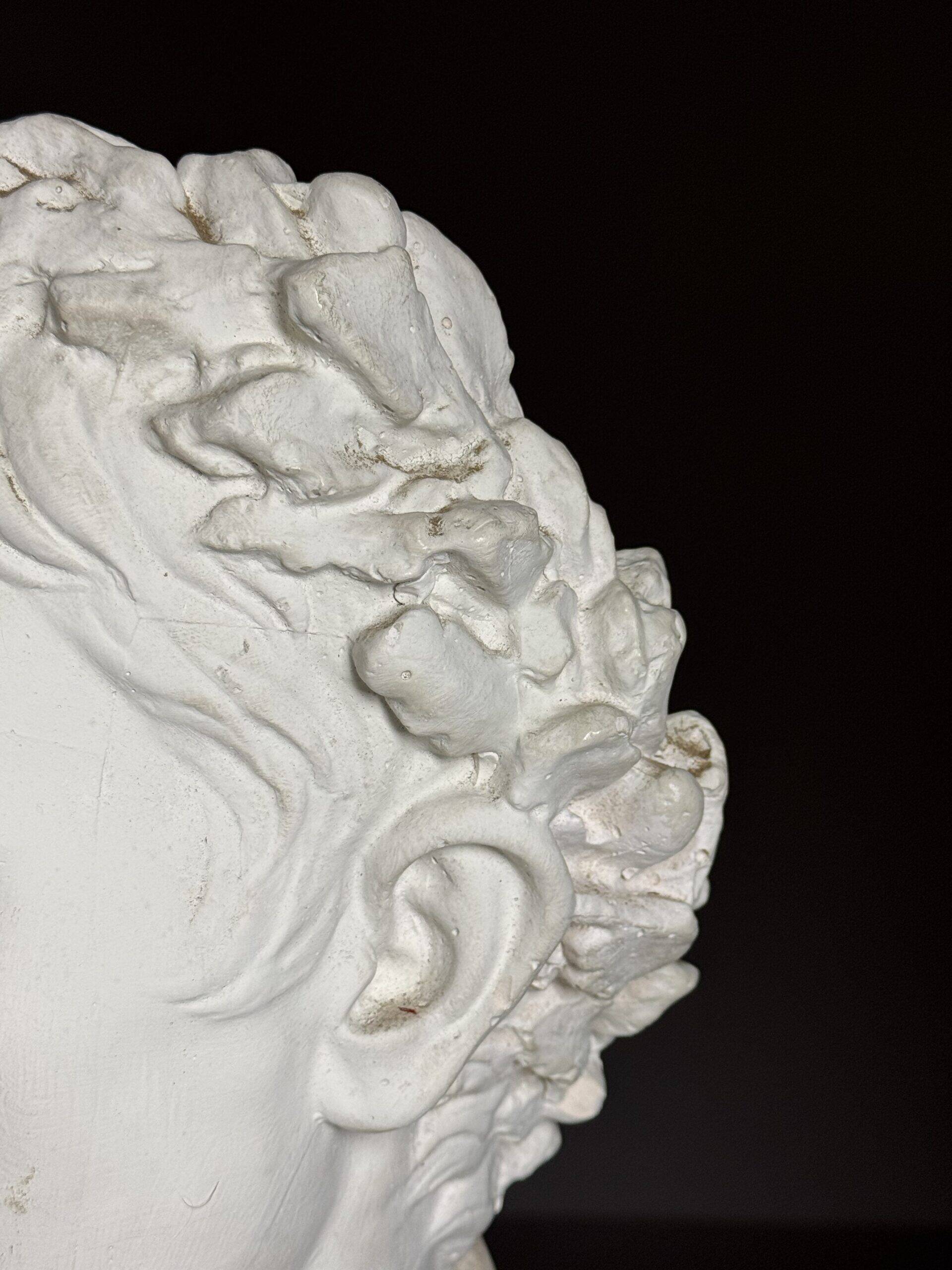 Buste en plâtre de l'empereur Auguste