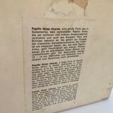 Butterfly wall frame