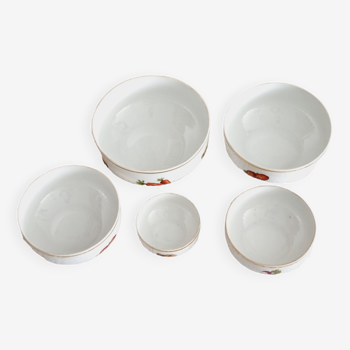 Lot de 5 saladiers en porcelaine