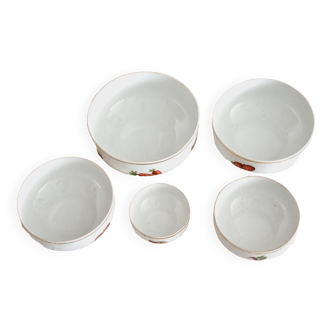 Lot de 5 saladiers en porcelaine