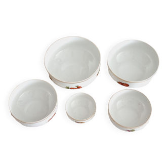 Set of 5 porcelain salad bowls