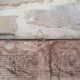 Herbarium frame