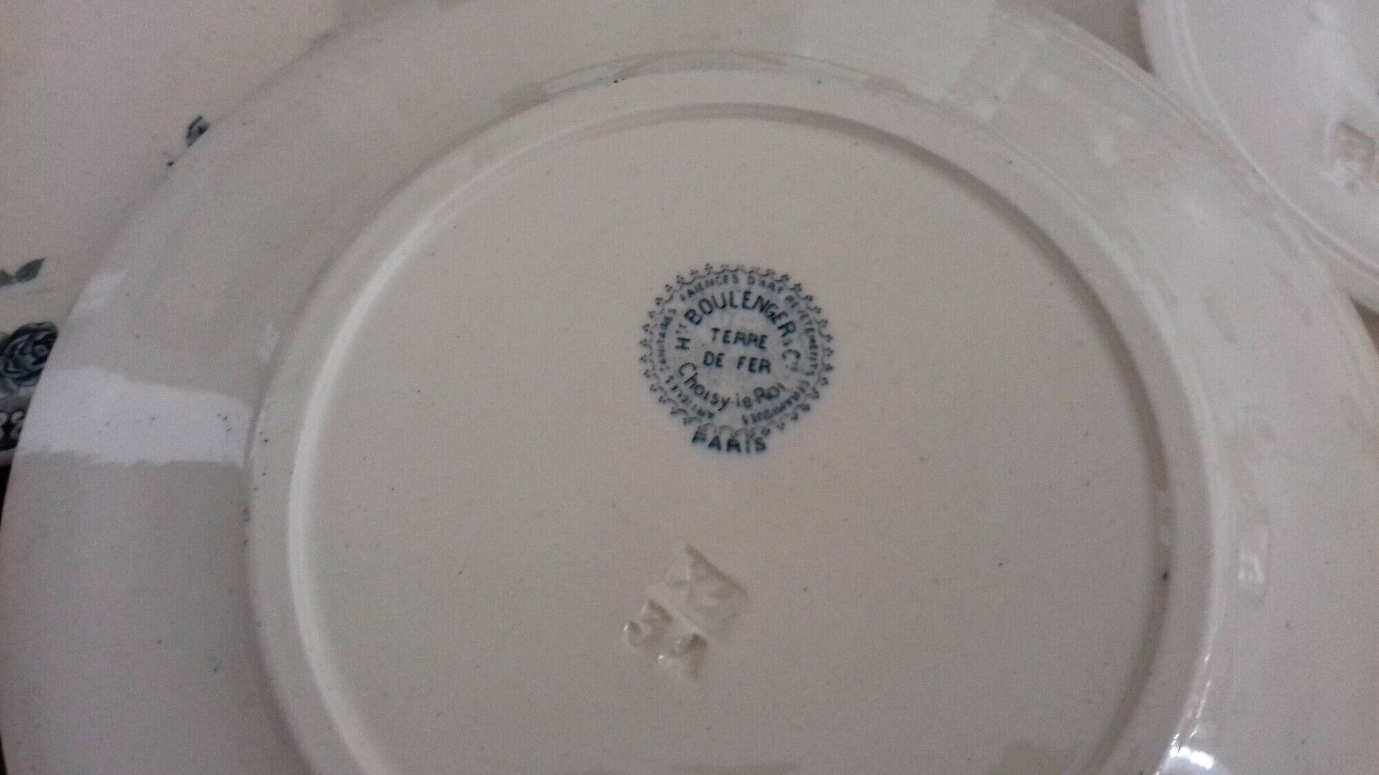 Lot 12 Flat Plates Iron Land Choisy the King Roses Blue Boulenger
