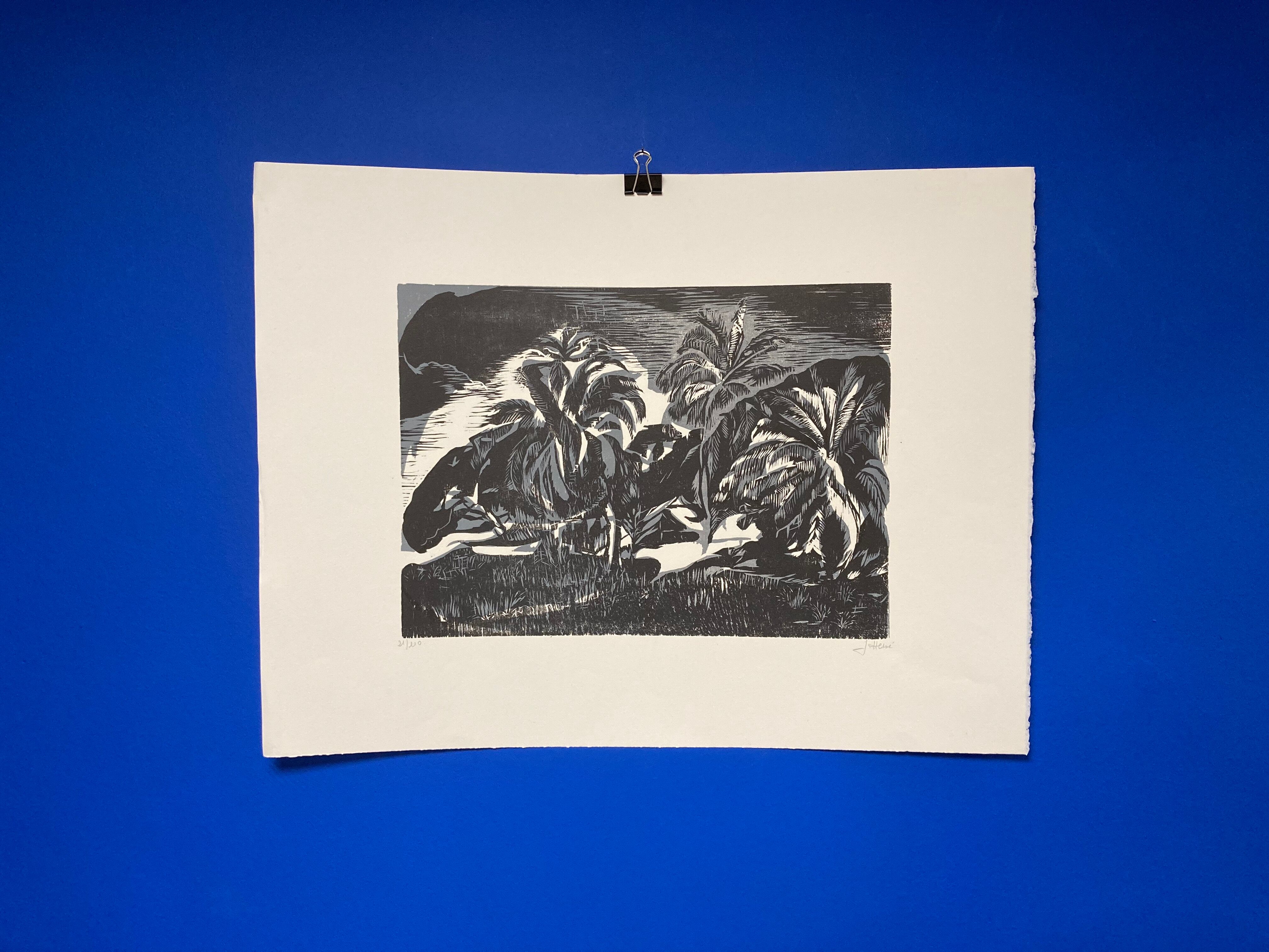 Illustration Le Bois des Cocotiers