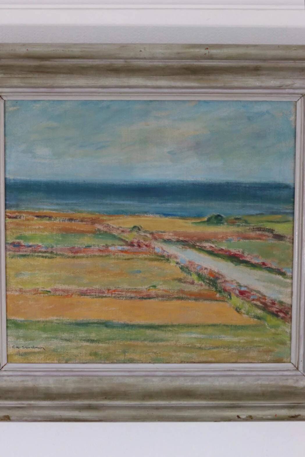 Ocean view by C. W. Sundman