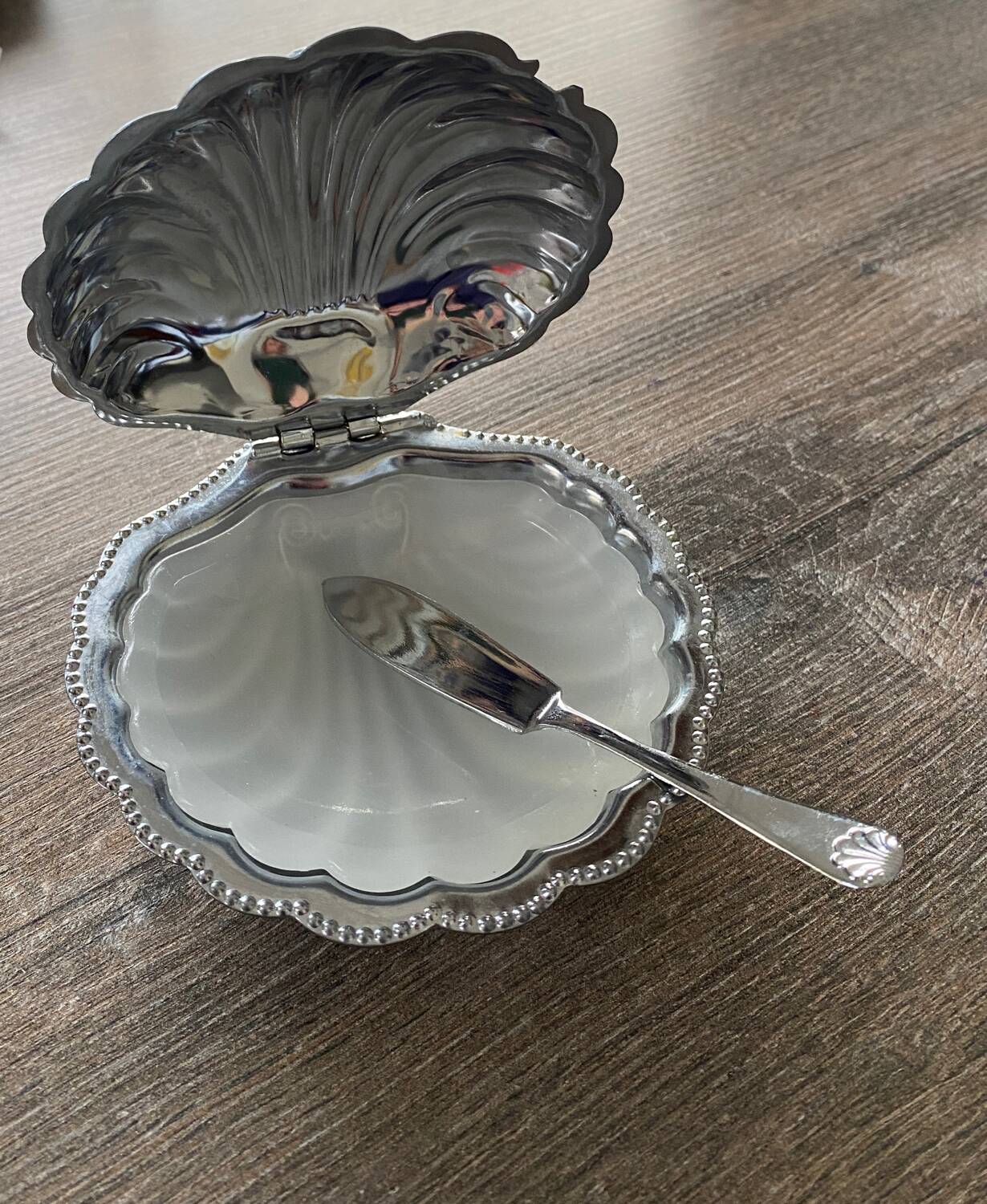 Stainless steel shell butter dish