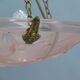 French Art Deco Glass Pendant Light with Chain Suspension, Degue, 1920s - 1930s