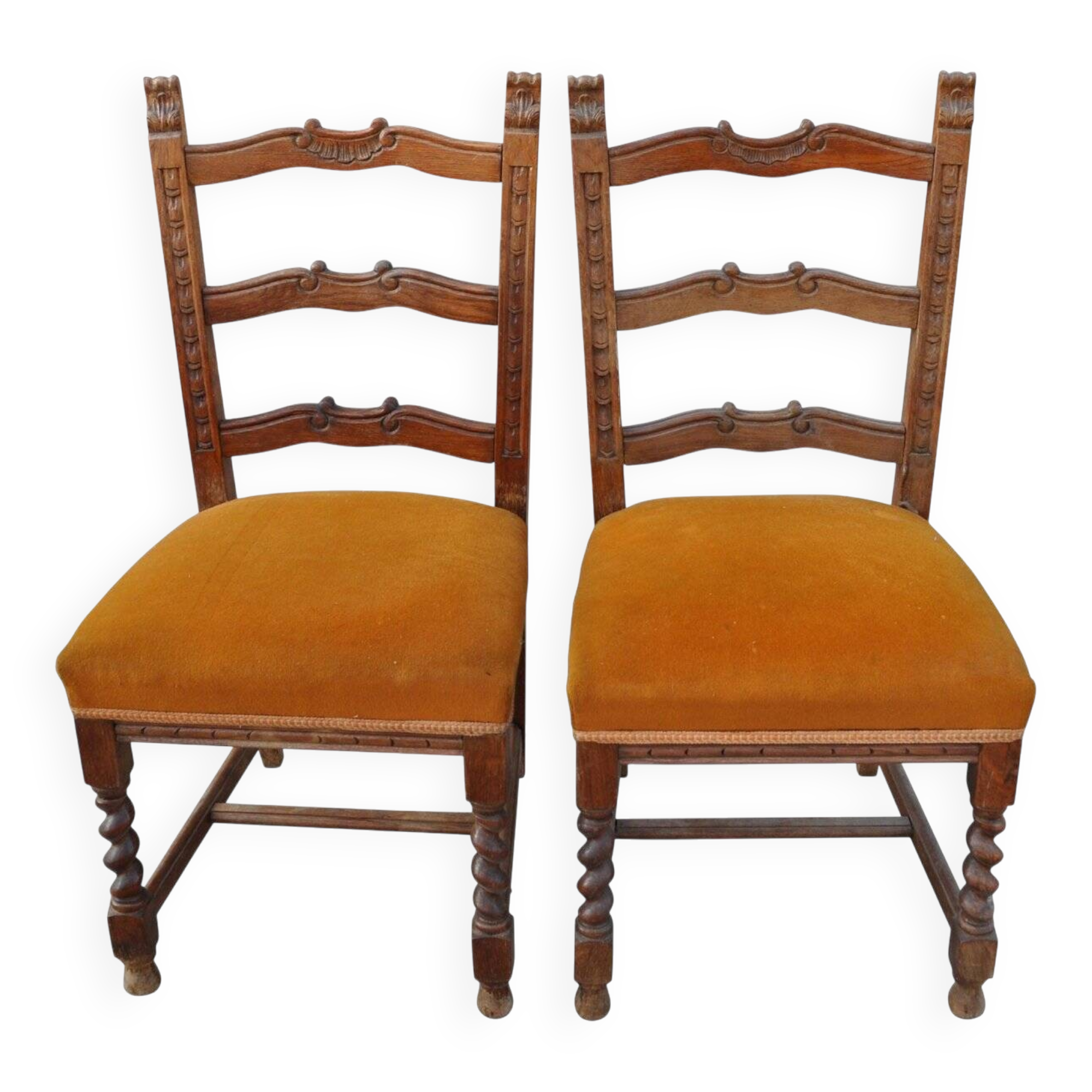 Pair of mid-century chairs from the 1950s in brown oak and straw yellow velvet — set of 2