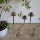 Pair of candlesticks