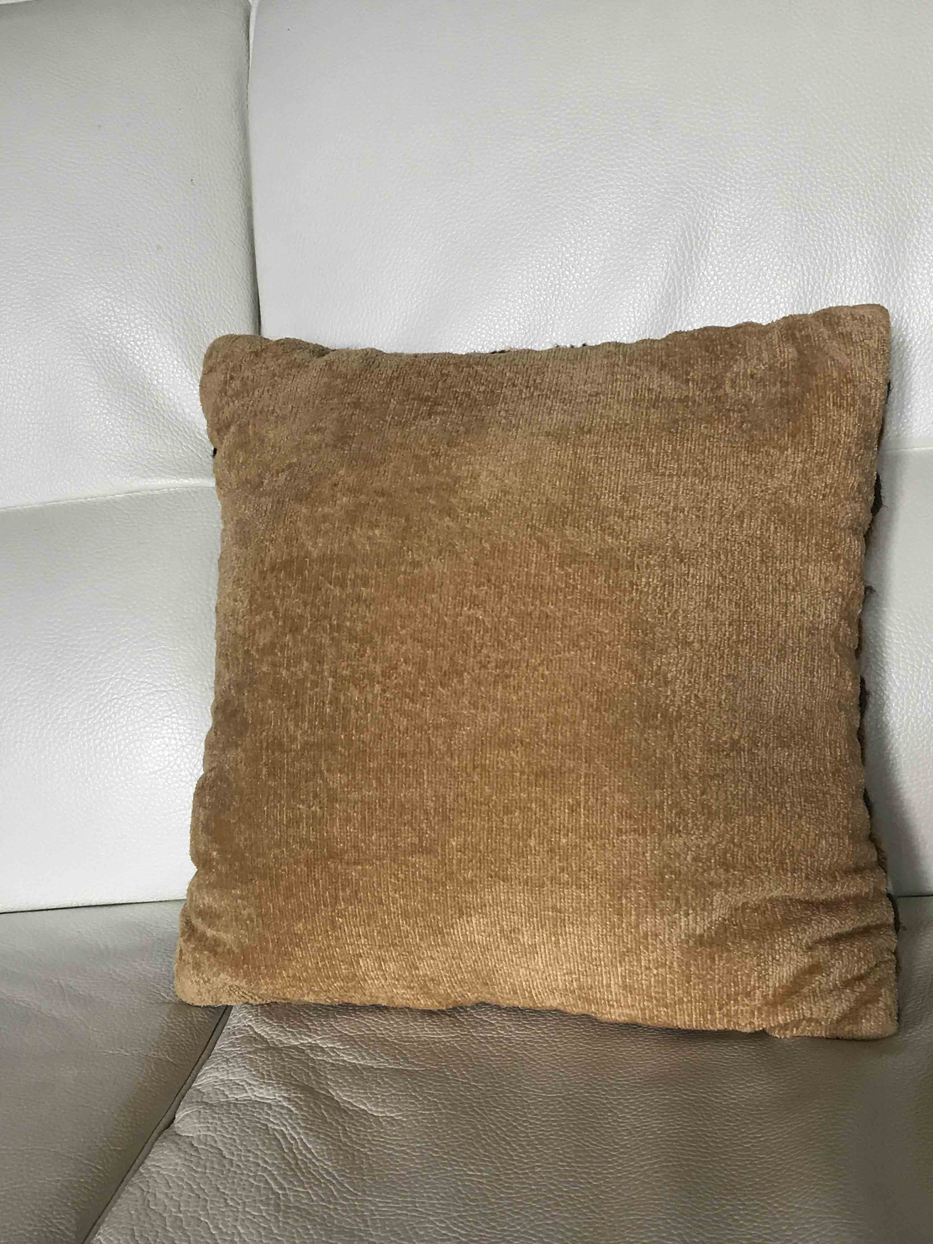Cushion