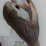 Original ornithological plate "Eagle - Common Eagle - &c..." Buffon 1836