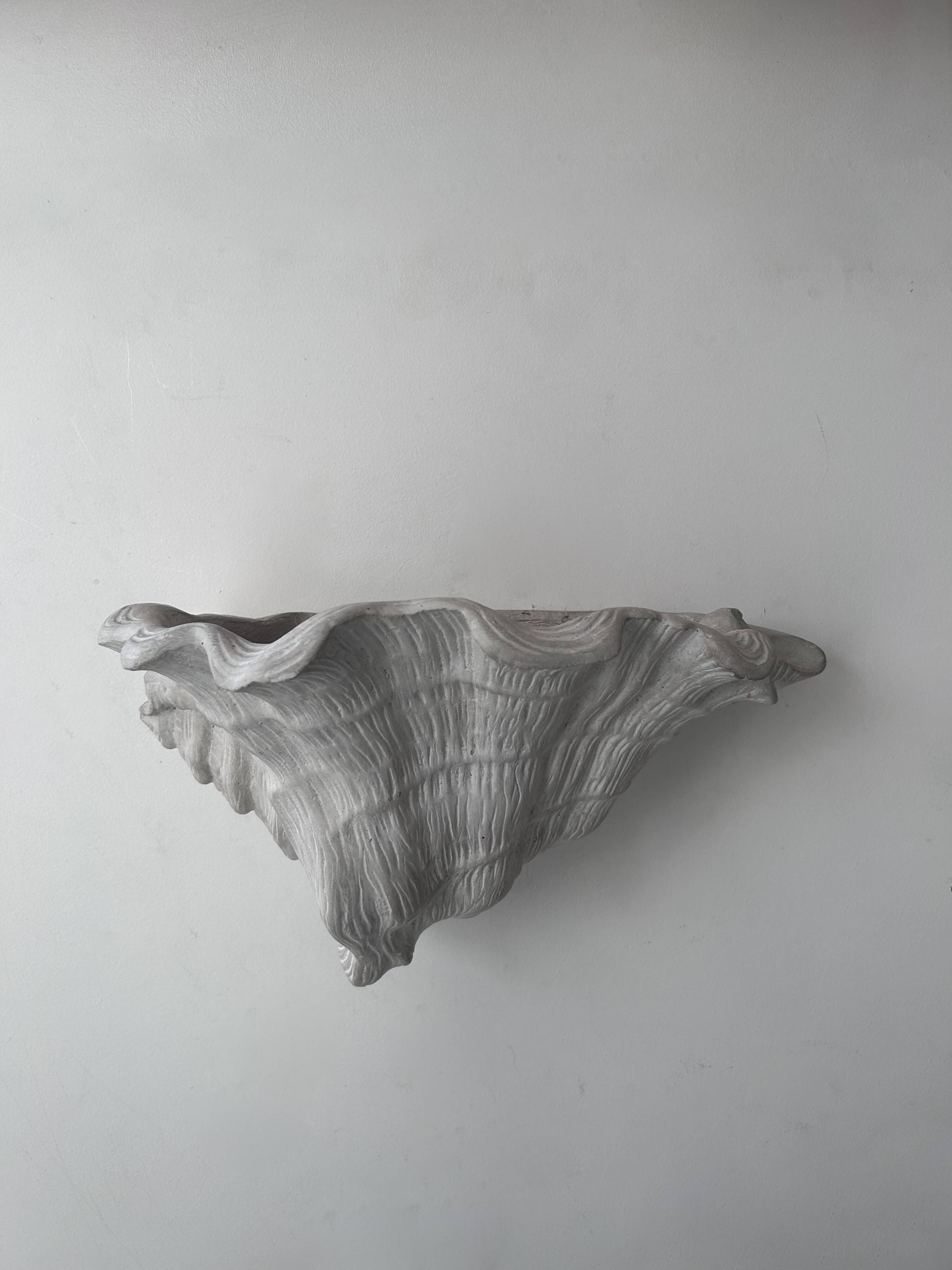 Pair of vintage shell wall lights, matte white plaster, France 1940