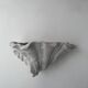 Pair of vintage shell wall lights, matte white plaster, France 1940