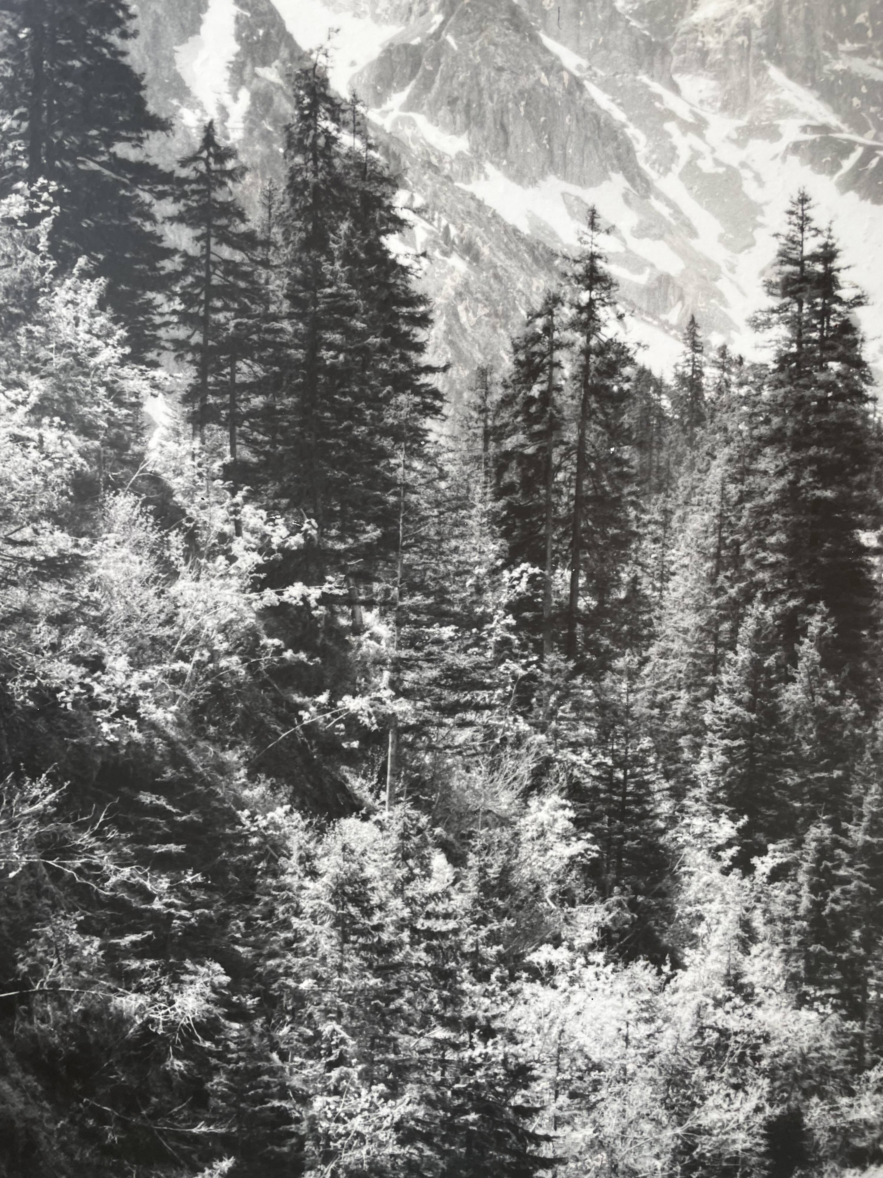 Old XXL black and white mountain photography