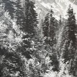 Ancienne photographie montagne noir et blanc XXL