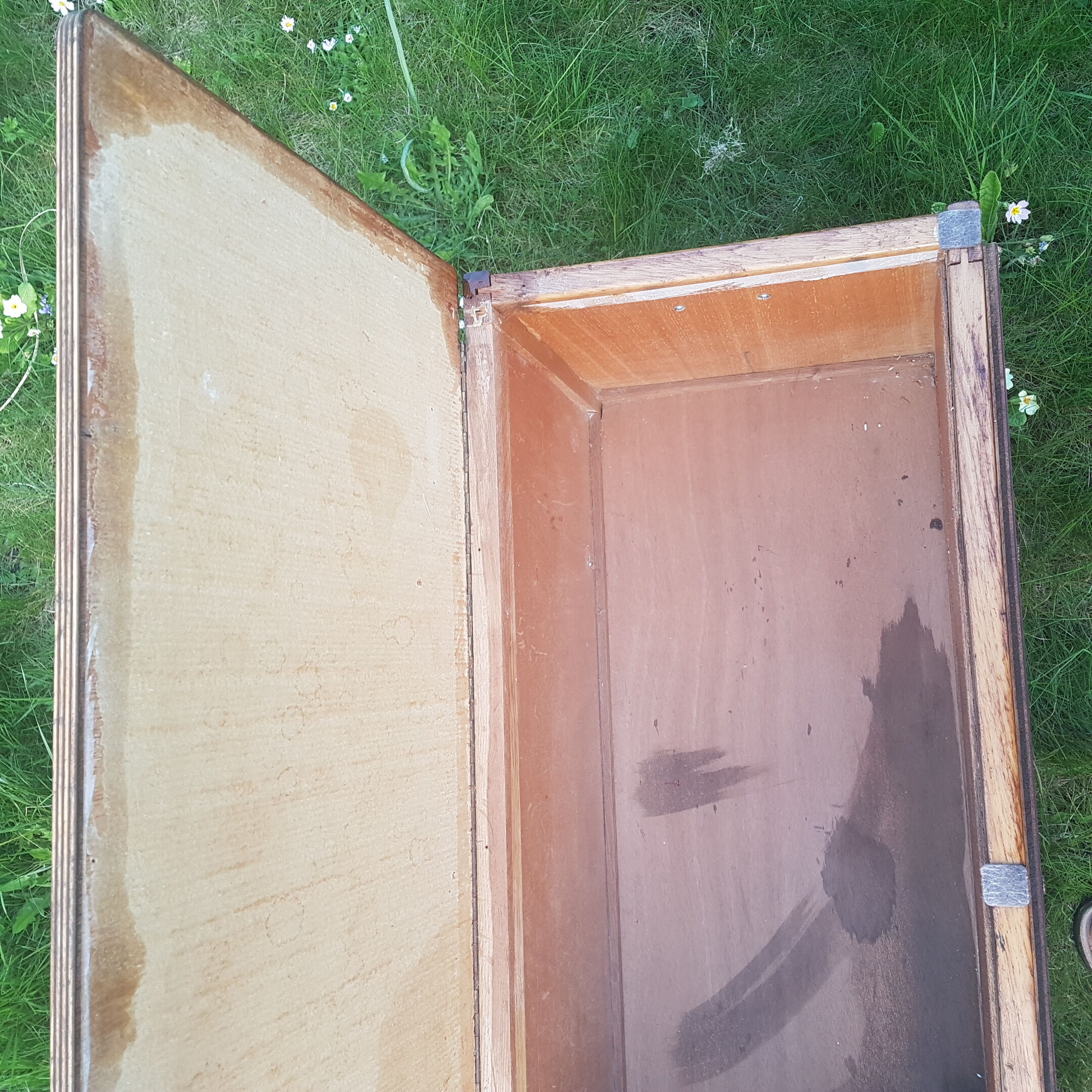 Wooden trunk with compass years 50 feet