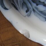 IRIS and dragonfly, beautiful!