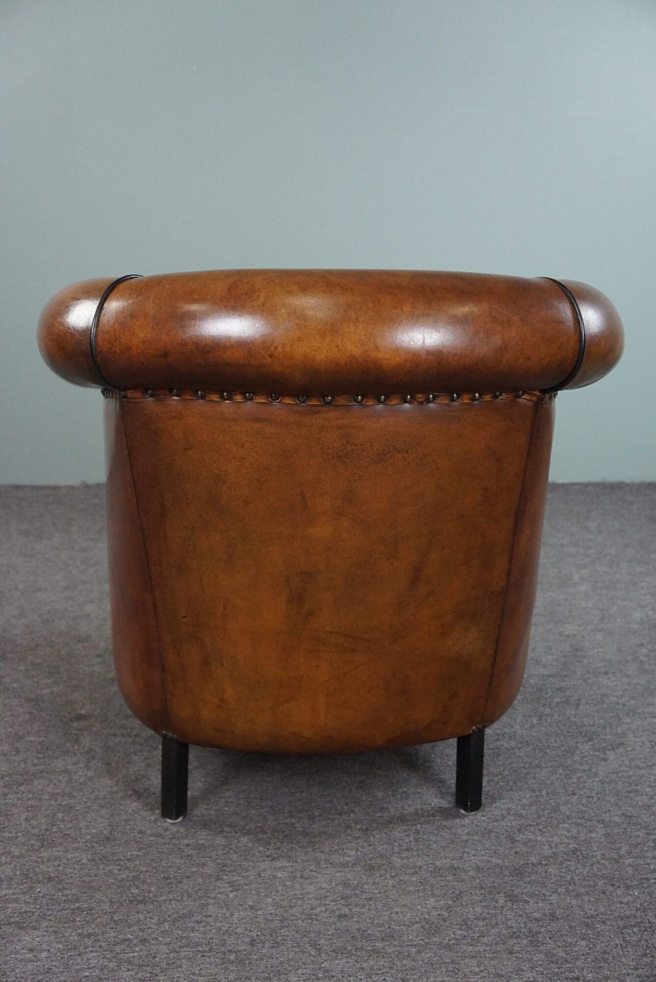 Club armchair in sheepskin with black piping