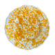 Plate yellow dots 20 cm