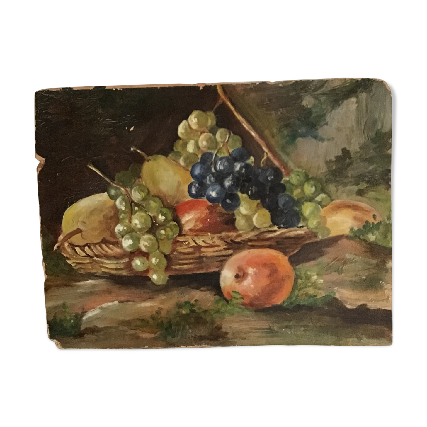 Still life with fruit