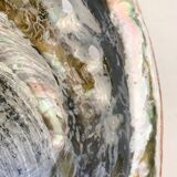 Shell trinket bowl in mother-of-pearl