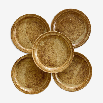5 stoneware dessert plates