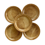5 stoneware dessert plates
