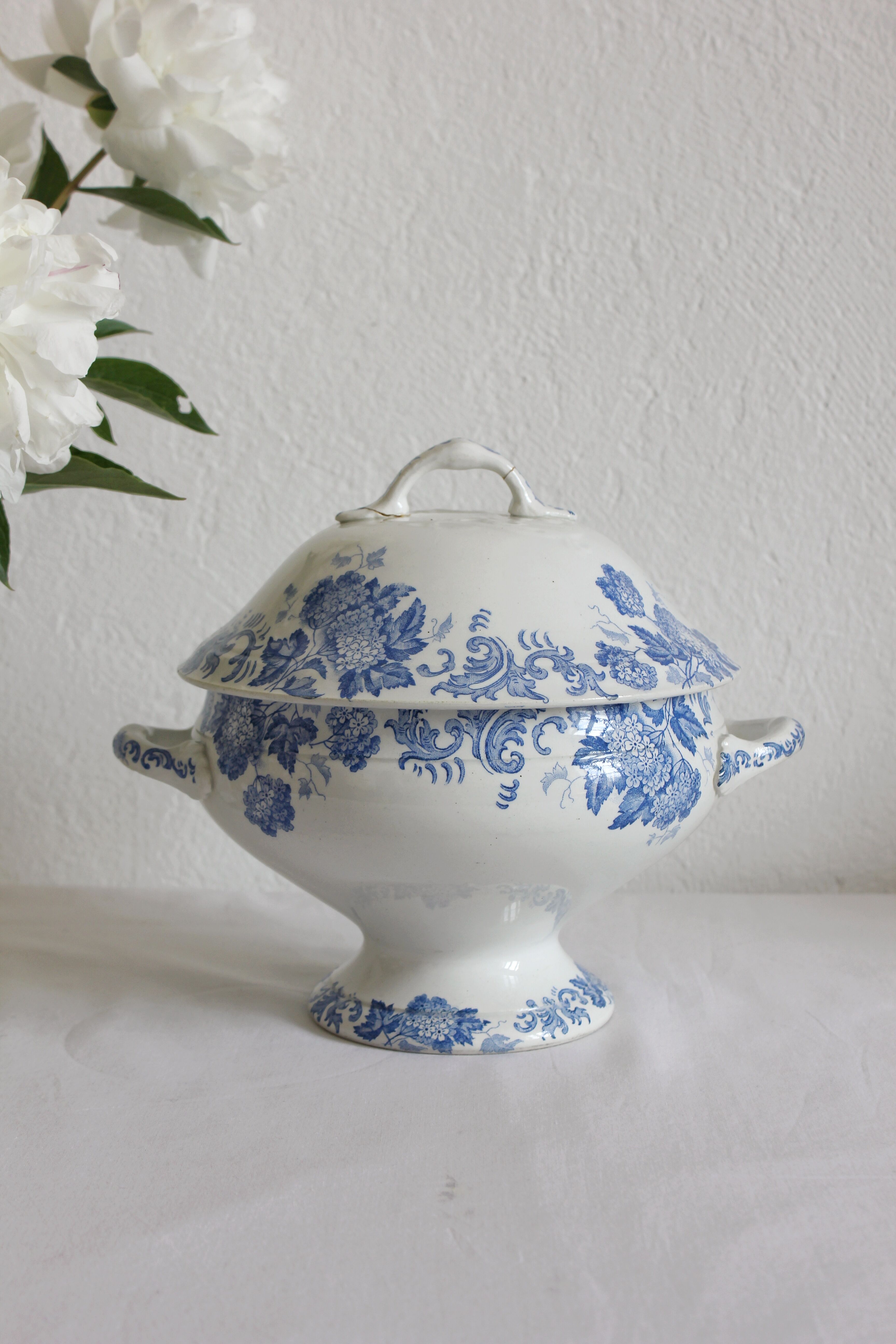 Ironstone tureen, "Snowball" pattern, Saint Amand et Hamage