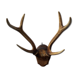 Slaughter of deer on coat of arms