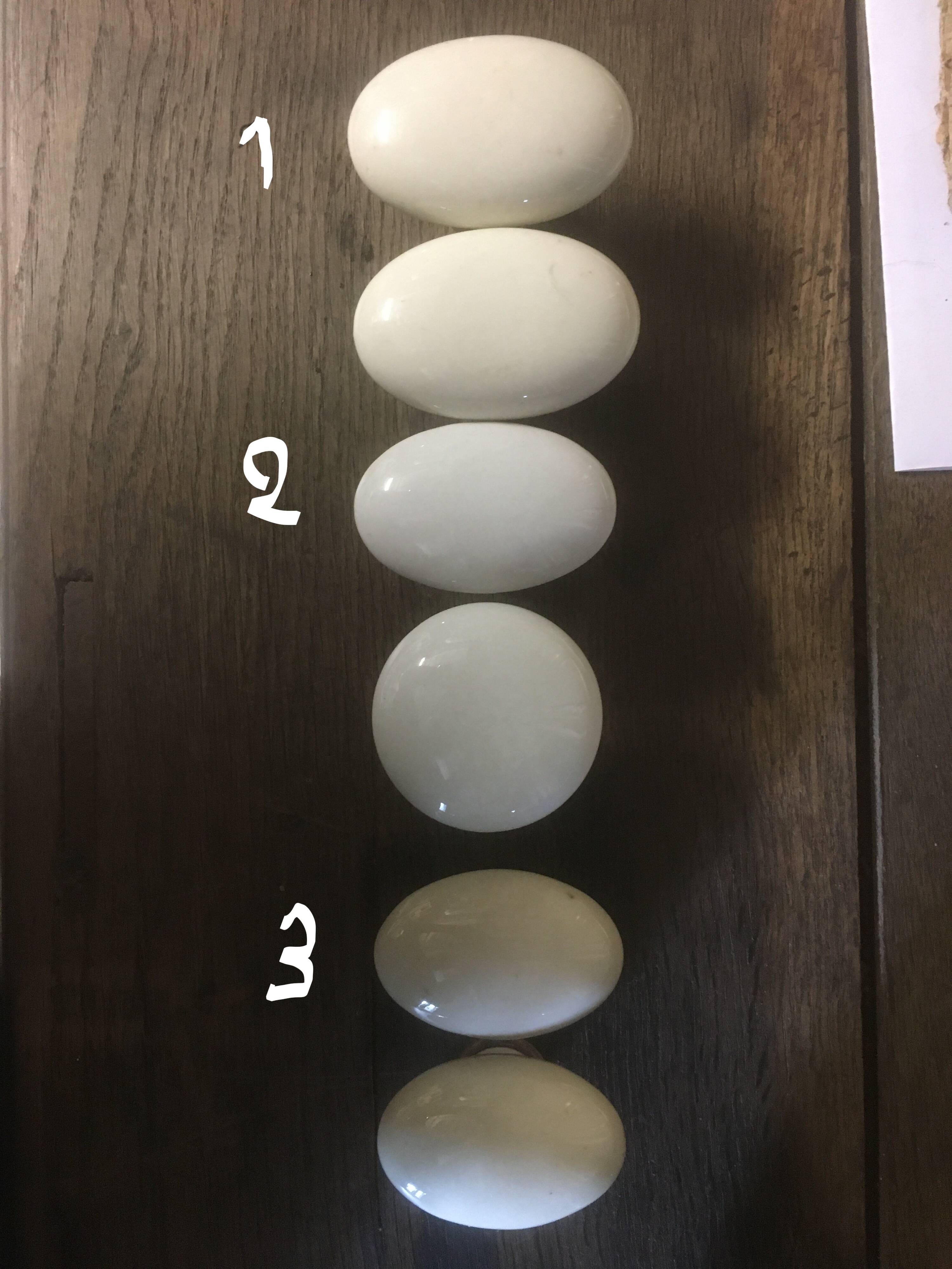 Porcelain door handles