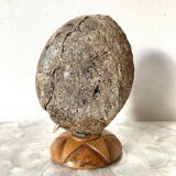 Vintage abalone shell lamp
