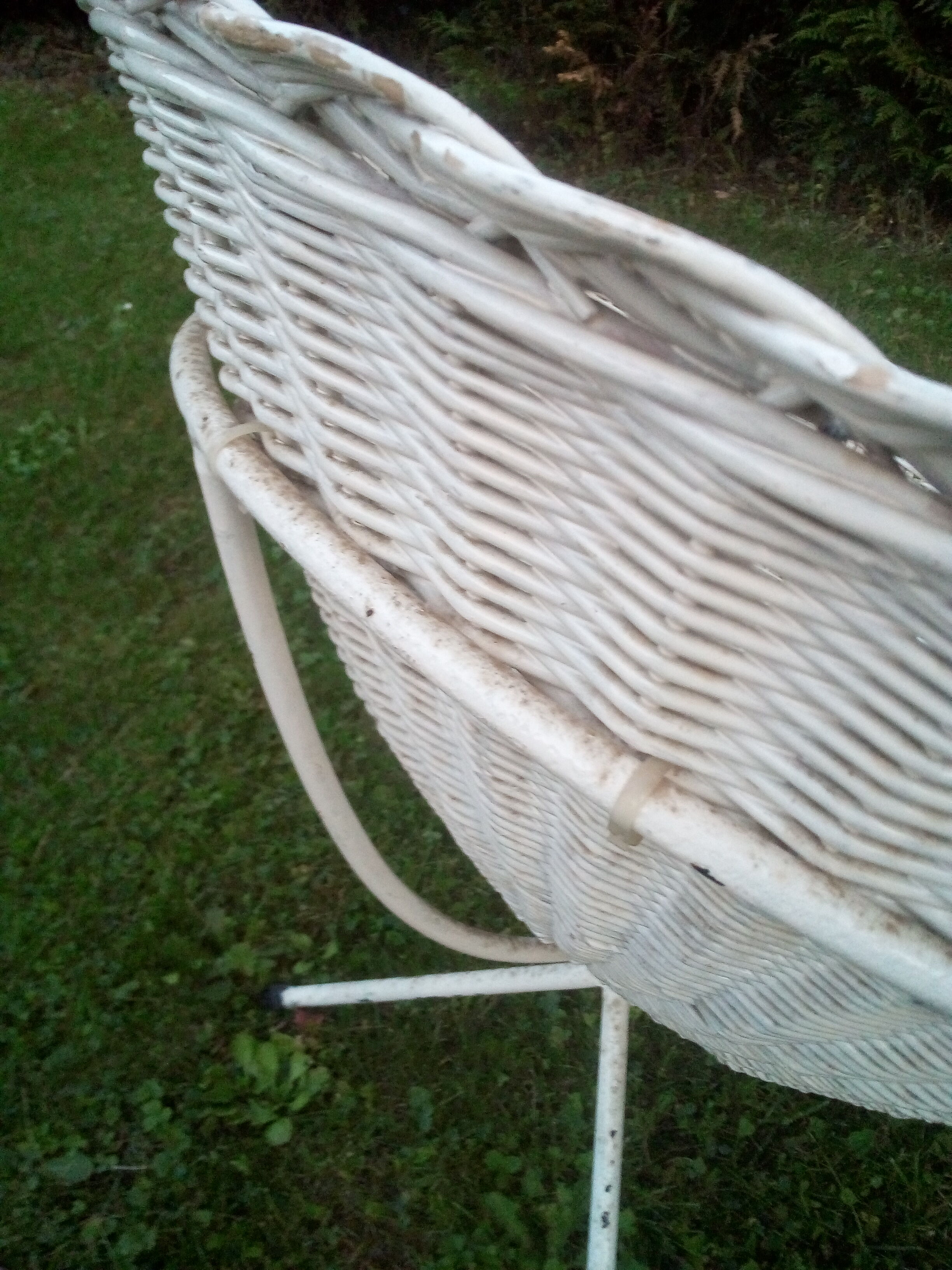Rattan shell chair