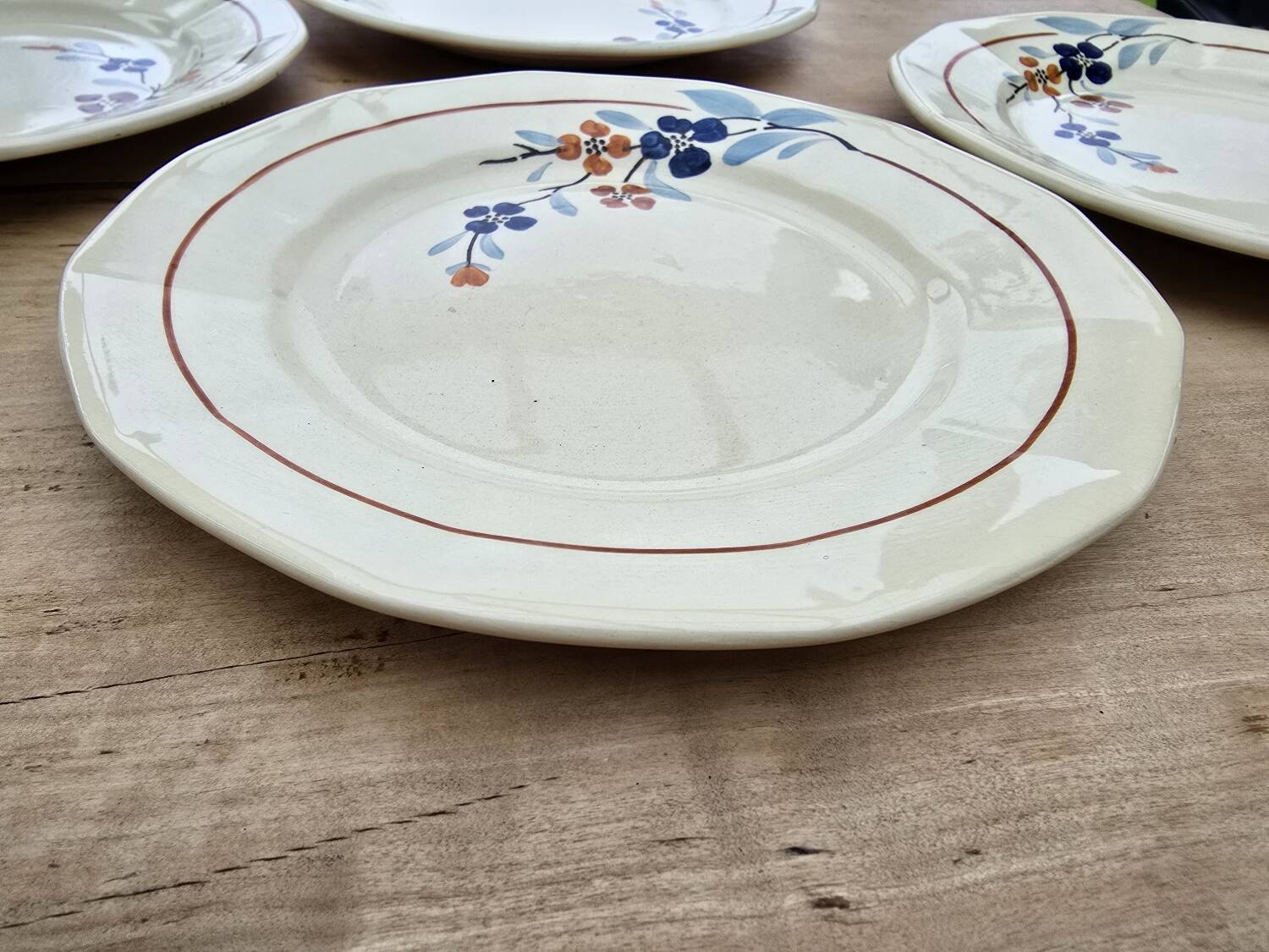 9 Sarreguemines plates model 5041