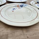 9 Sarreguemines plates model 5041