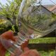 6 Art Deco engraved wine glasses, Meisenthal glassware
