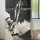 Old XXL black and white tree photograph