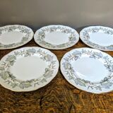 5 assiettes Royal Albert