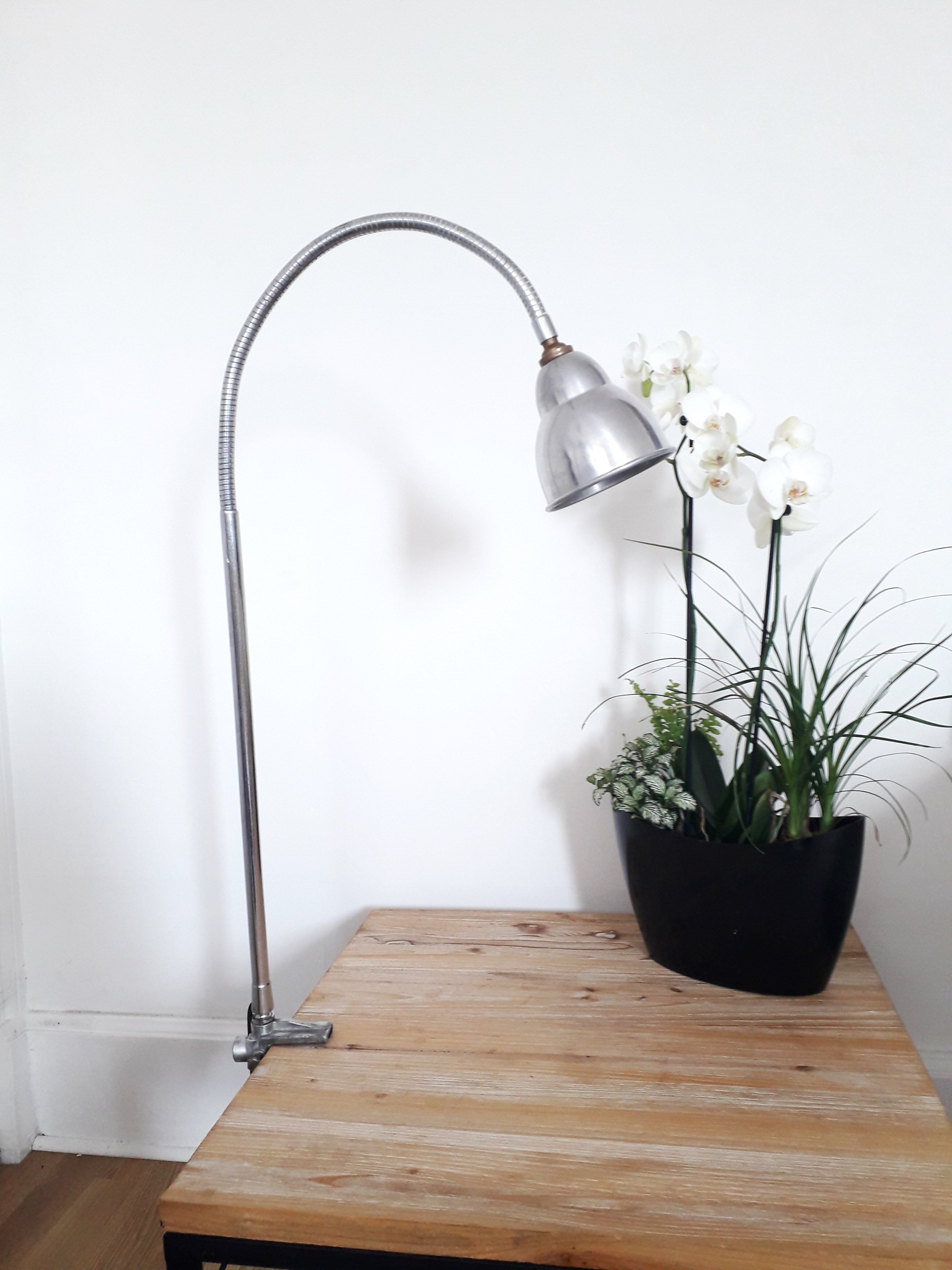 Workshop / industrial lamp - Orientable - Brushed metal - 50s