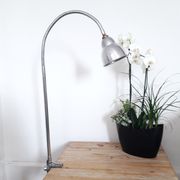 Workshop / industrial lamp - Orientable - Brushed metal - 50s
