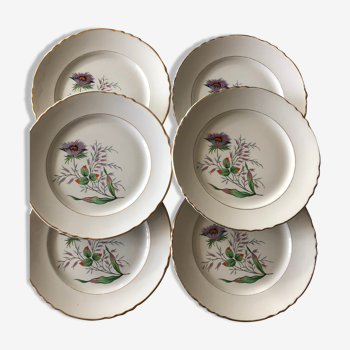 Set of 6 flat plates Moulin des loups