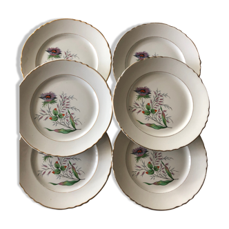 Set of 6 flat plates Moulin des loups