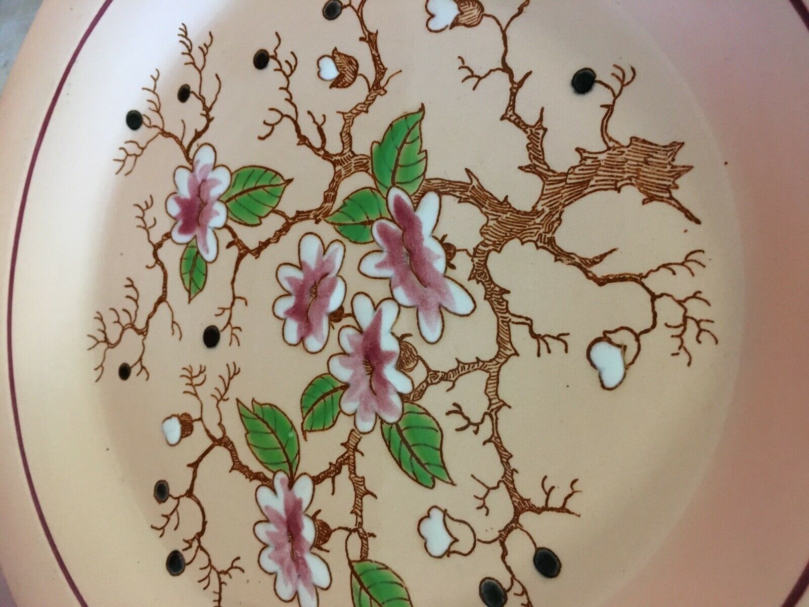 Compotier cuts flat on longwy footouche bankok model