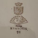 Pair of ravines Digoin Sarreguemines model Myosotis
